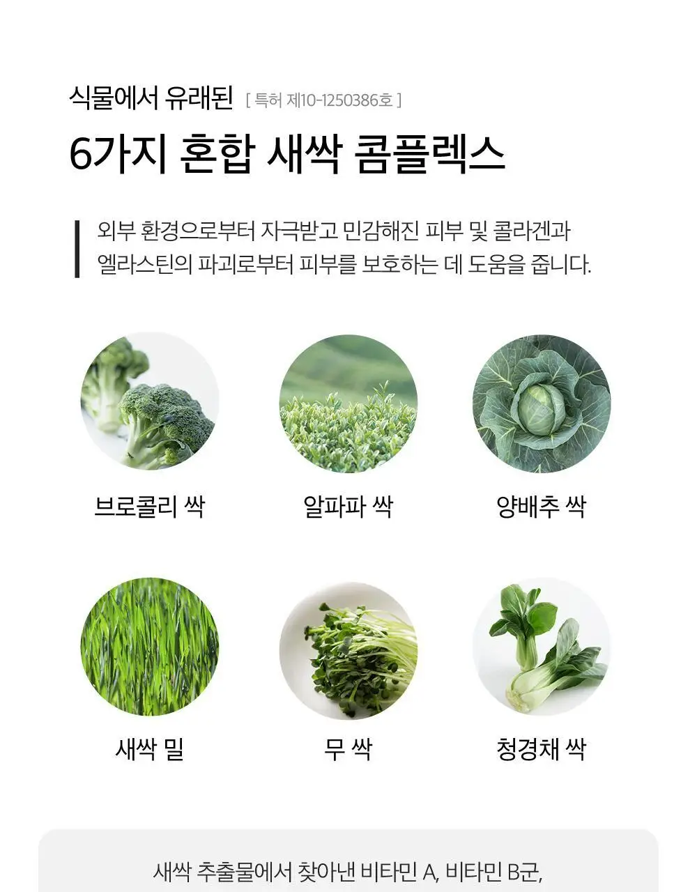 [유튜버PICK][탈모증상완화 기능성]LBB 리바이탈 엘릭시어 샴푸 400ml 상세페이지 16